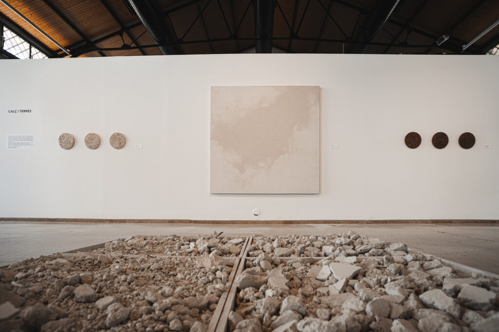 Exposició Limits de Roser Oduber.