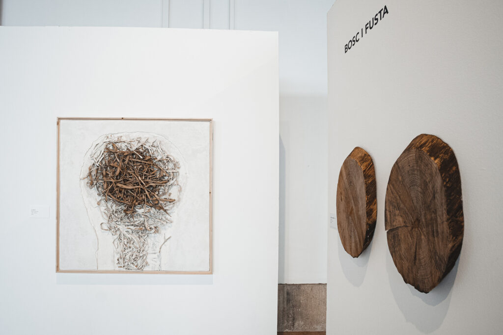Exposició Limits de Roser Oduber.