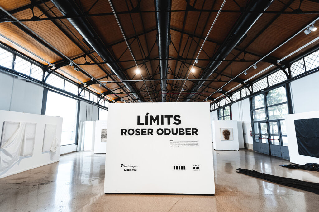 Exposició Limits de Roser Oduber.